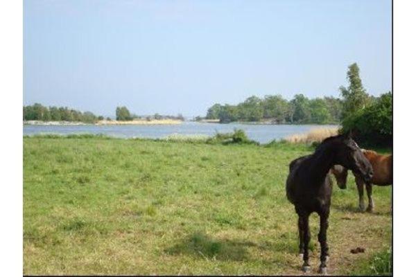 By The Baltic Sea, 2 Bedrooms Karlskrona Luaran gambar